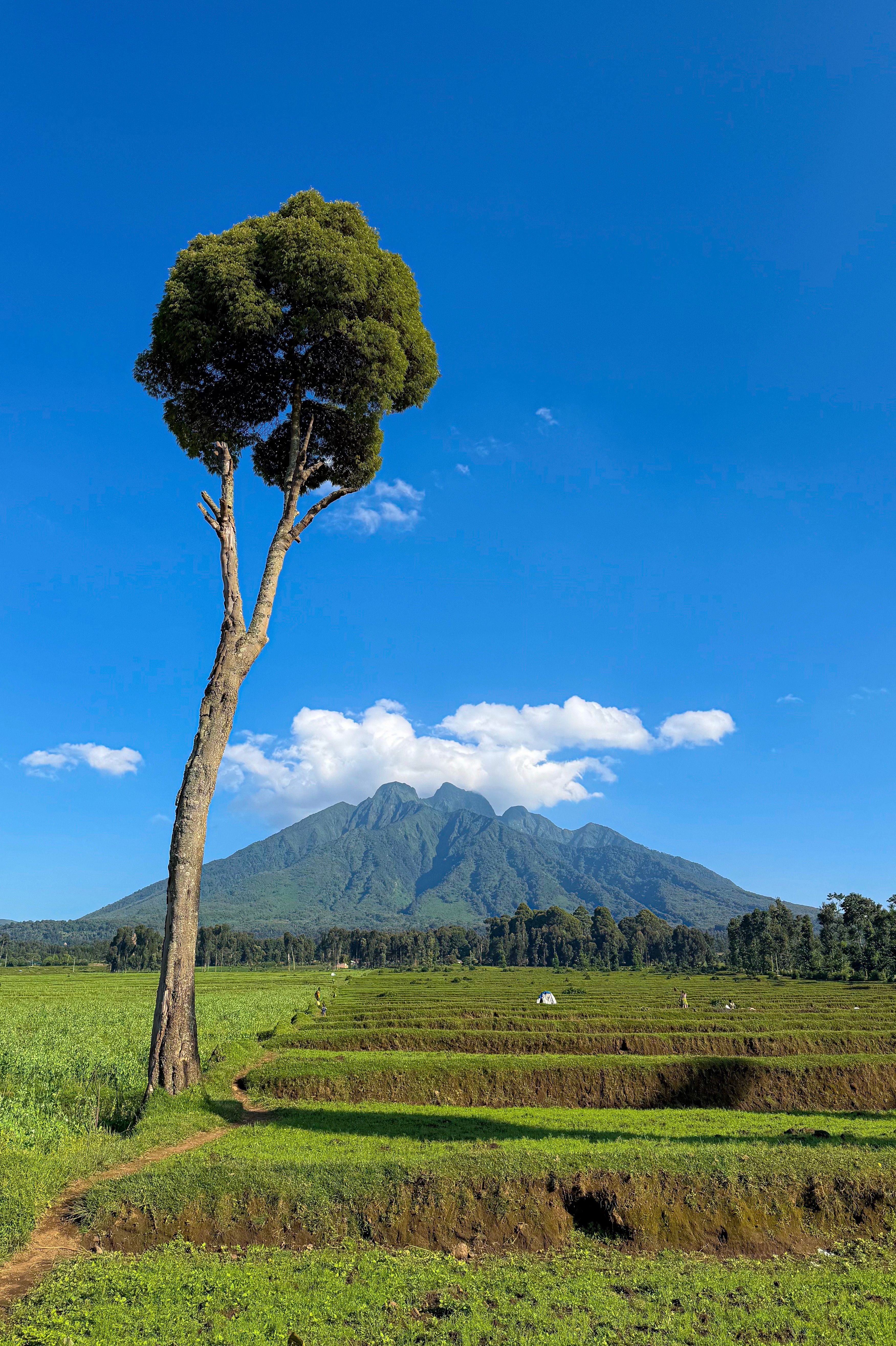 Rwanda View